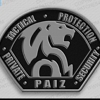 PAIZ TACTICAL PROTECTION SECURITY gallery