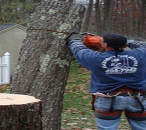 Jackson's Tree Service - Dayton, ME