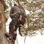 Nh Forestry Mulching And Construction