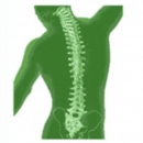 Interventional Pain Management Services - Physicians & Surgeons, Pain Management