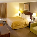 Quality Inn - Motels