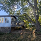 Trees by Forrest | Tree Removal Company in Plymouth, MN