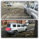 Alphord Tree Service - Tree Service