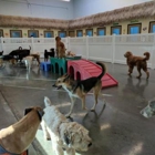 Ruff House Pet Resort