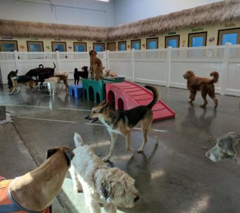 Ruff House Pet Resort - Tustin, CA