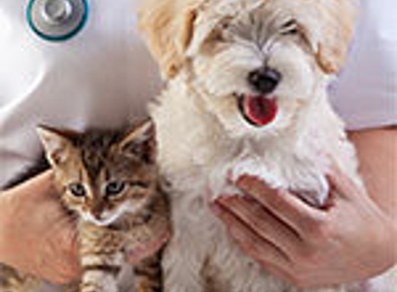 Doylestown Veterinary Hospital & Holistic Pet Care - Doylestown, PA