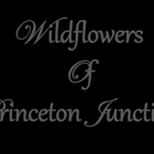 Wildflowers of Princeton Junction, Inc
