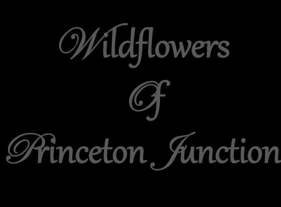 Wildflowers of Princeton Junction, Inc - Princeton Junction, NJ