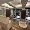 Phoenician Dentistry gallery