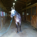 Brookfield farms - Horse Training