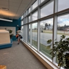 The Window Cleaner gallery