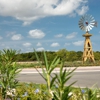 Homestead at Old Settlers Park by Meritage Homes gallery