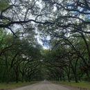 Wormsloe Historic Site - Historical Places