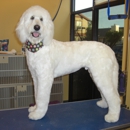 The Pampered Pet Grooming and Spa - Dog & Cat Grooming & Supplies