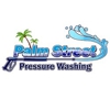 Palm Street Pressure Washing gallery