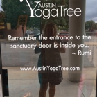 Austin Yoga Tree