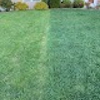 Superior Lawn Management gallery