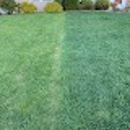 Superior Lawn Management - Gardeners