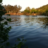 Almaden Lake Park gallery