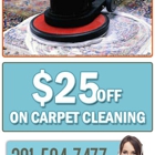 Carpet Cleaning of The Woodlands