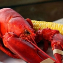 Nauset Fish & Lobster Pool - Lobsters