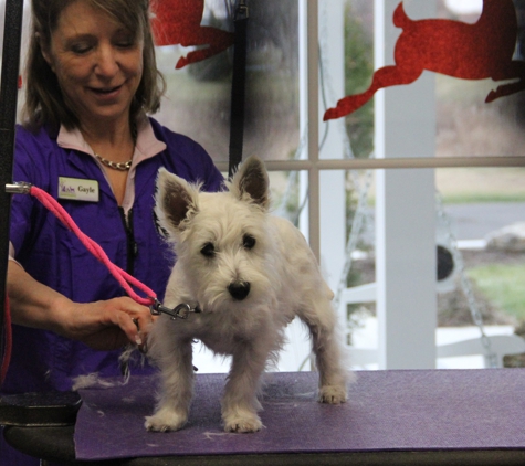 Healing Paws Vet Care - Carlisle, PA