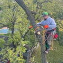 Tomax Tree Service