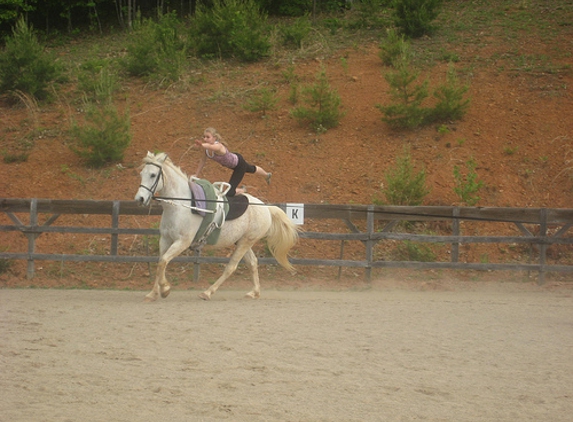 White Oak Stables - Purlear, NC