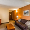 Quality Inn & Suites gallery