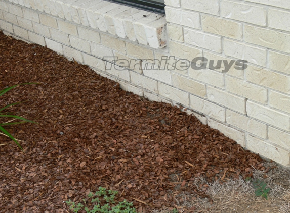 Termite Guys Brisbane