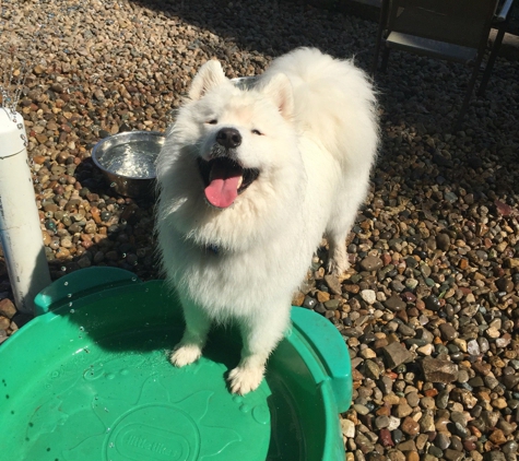 University City Dog Park - Saint Louis, MO