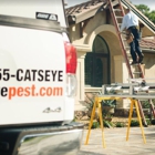 Catseye Pest Control - Hartford, CT