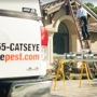 Catseye Pest Control - Hartford, CT