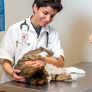 TLC Pet Doctor - Veterinarians