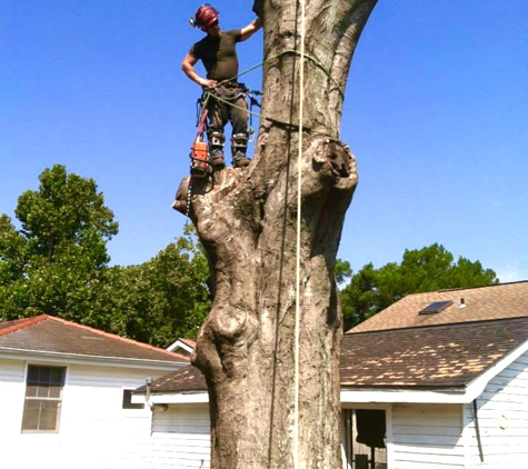 Outside Expectations Tree Service LLC - Slidell, LA. Hazardous Removal