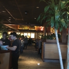 Bahama Breeze