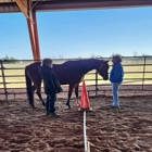 Spirit Song Youth Equestrian Academy