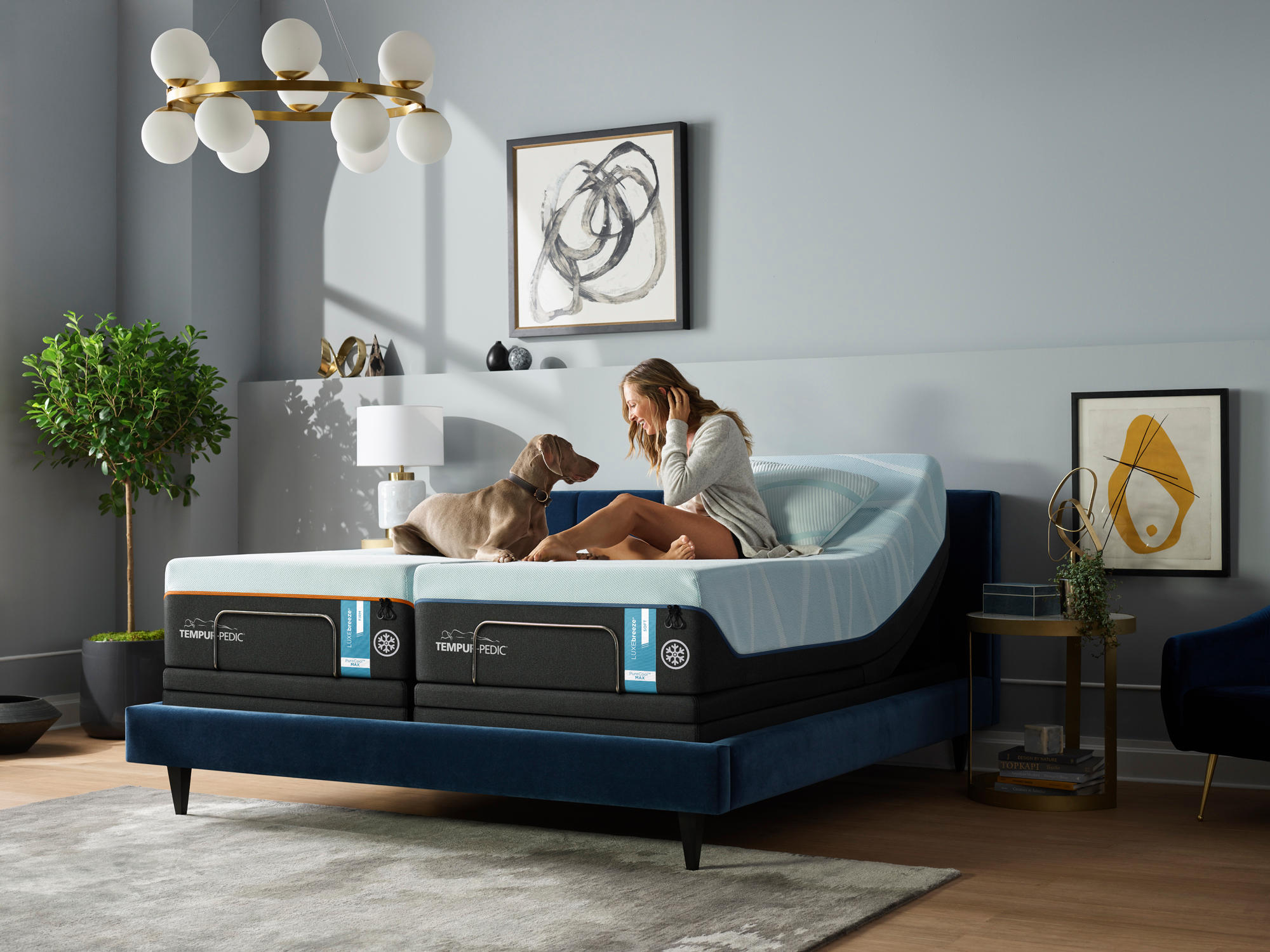 Relax The Back Wilmington 3916 Concord Pike Wilmington De 19803 Yp Com