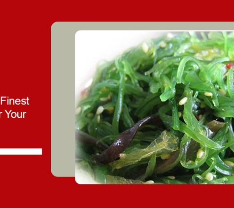 Mother Chu's Vegetarian Kitchen - Sydney, NSW. Ensure The Finest Flavours For Your Every Meal