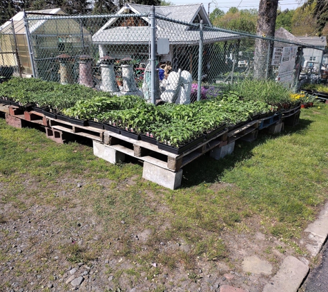 Ever Green Garden Center of Dupont - Avoca, PA