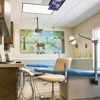 Tots to Teens Pediatric Dentistry gallery