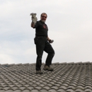 High Desert Chimney Sweep - Windows