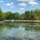 Bergen County Dog Park-Wild Duck Pond Ridgewood