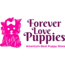 Forever Love Puppies Miami - Pet Breeders