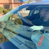 Prime Windshields gallery