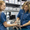 Livewell Animal Hospital of Elizabeth gallery