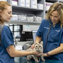 Livewell Animal Hospital of Elizabeth - Veterinarians