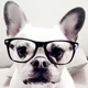 Frenchie Couture/ Pour Mon Amour, Inc.