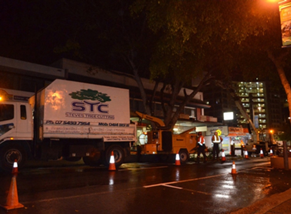 Steve's Tree Cutting - Wurtulla, QLD