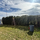 E.E.S. Tree Service